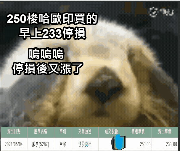 股市萬七.我梭哈歐印.250買 (5287)數字.後股價開始跌.半年後下看150~200?