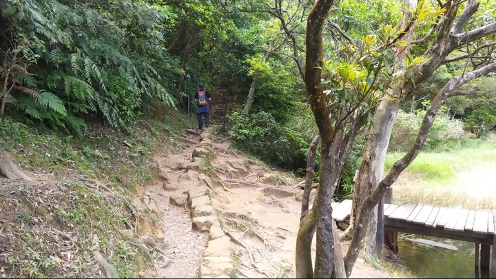[樂山童盟] [新北汐止] 新山夢湖登山步道