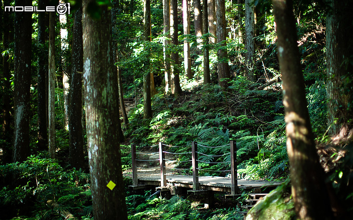 南庄加里山半日行