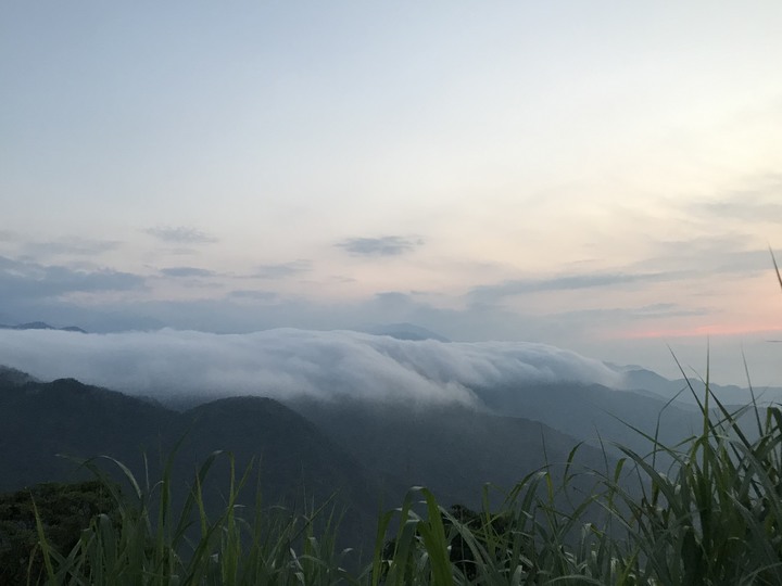 【末日騎士】 天生狂野 與獸同奔 生鬼止步