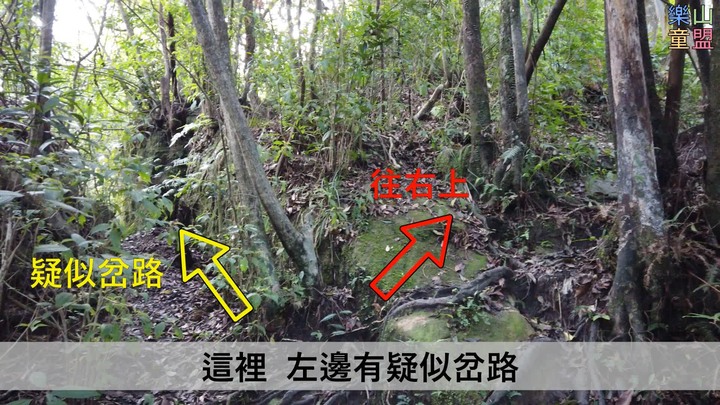 [樂山童盟] [新北汐止] 新山夢湖登山步道