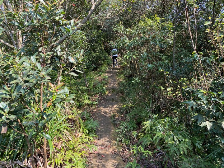 新北石碇｜皇帝殿．入門攀岩首選，北部三大天然攀岩場之一