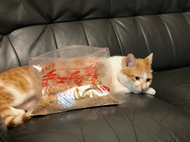 喵星人也要顧眼睛!護眼錠分享