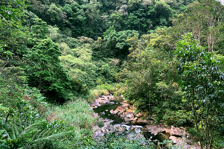 新北坪林｜金瓜寮魚蕨步道｜夏日親水野溪小徑