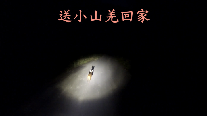 【末日騎士】 天生狂野 與獸同奔 生鬼止步