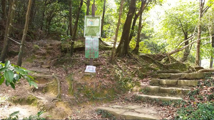 [樂山童盟] [新北汐止] 新山夢湖登山步道
