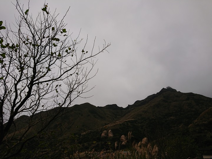 〔新北瑞芳〕無耳茶壺山步道.鼻頭角步道 山海天景全蒐集