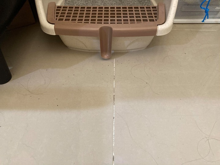 【開箱】母親節的媽寶報恩- LG A9K Wifi 濕拖無線吸塵器