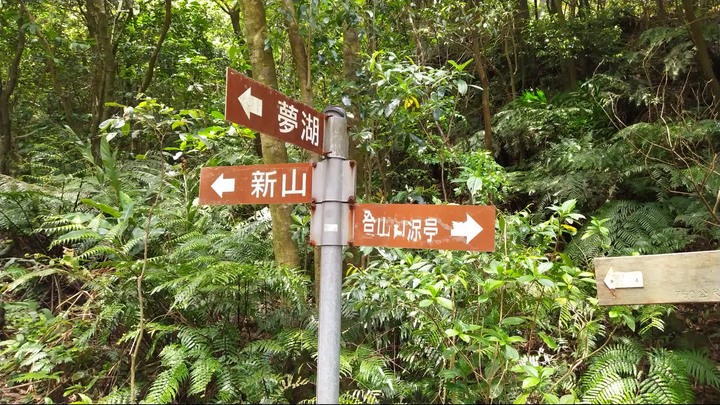 [樂山童盟] [新北汐止] 新山夢湖登山步道