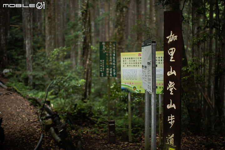 南庄加里山半日行