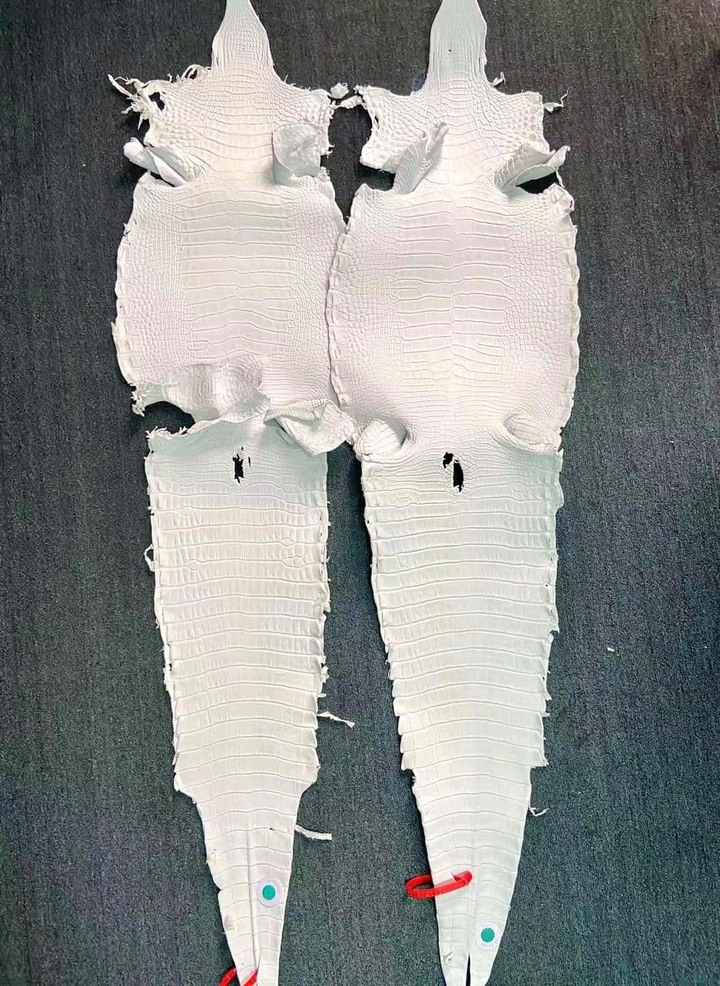 點我看大圖