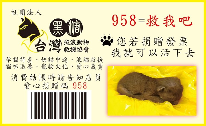 “浪”愛傳出去-小鎂媽媽募款活動