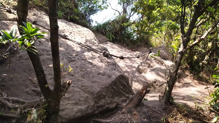 [樂山童盟] [新北汐止] 新山夢湖登山步道