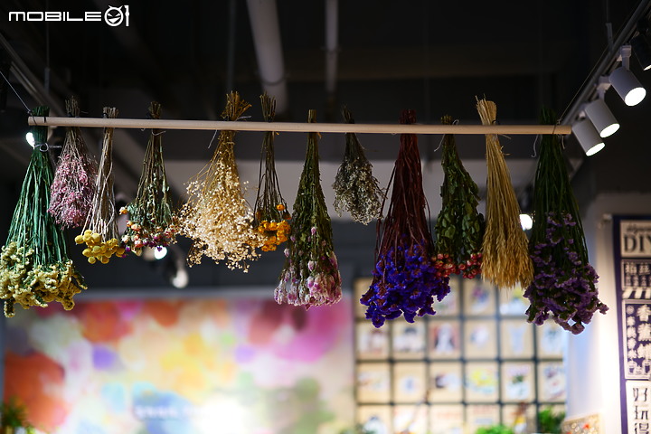 松下LUMIX S5+福倫達Voigtlander NOKTON Vintage Line Asph 75mm F1.5 VM