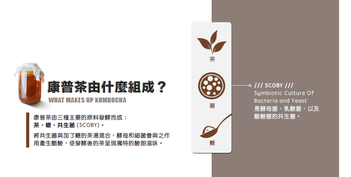 喝惜惜康普茶,順其自然,回歸簡單!無負擔的飲品新選擇,美味與能量兼得