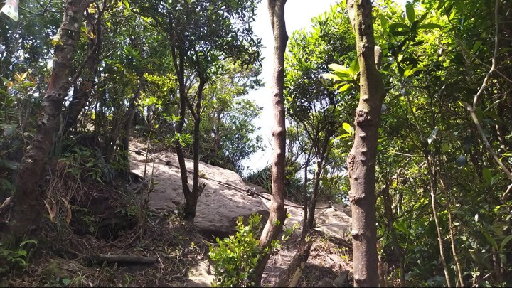 [樂山童盟] [新北汐止] 新山夢湖登山步道