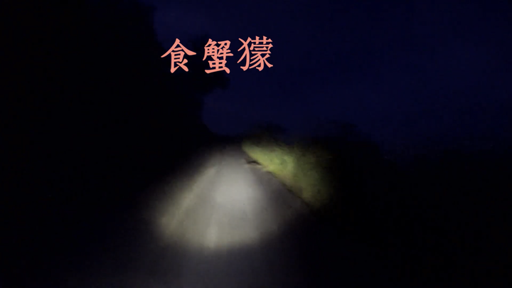 【末日騎士】 天生狂野 與獸同奔 生鬼止步