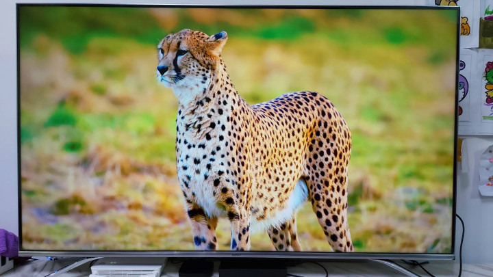 BenQ 4K HDR 護眼廣色域大型液晶 S55-710 體驗試用開箱文