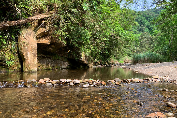 新北坪林|金瓜寮魚蕨步道|夏日親水野溪小徑