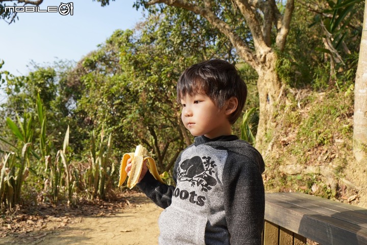 台中太平健行步道 征服43號小百岳三汀山望高寮 | 咬人狗坑生態景觀步道