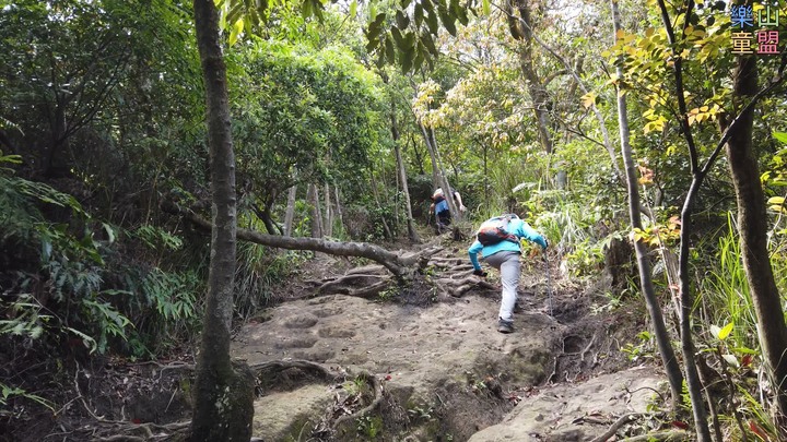 [樂山童盟] [新北汐止] 新山夢湖登山步道