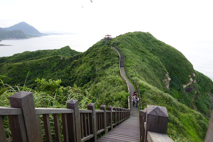 〔新北瑞芳〕無耳茶壺山步道.鼻頭角步道 山海天景全蒐集