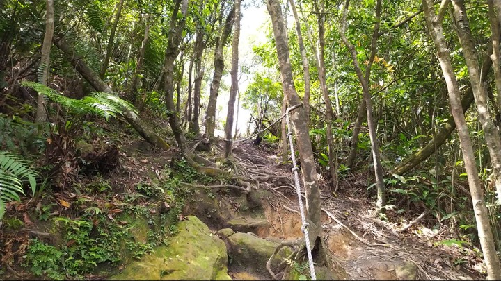 [樂山童盟] [新北汐止] 新山夢湖登山步道