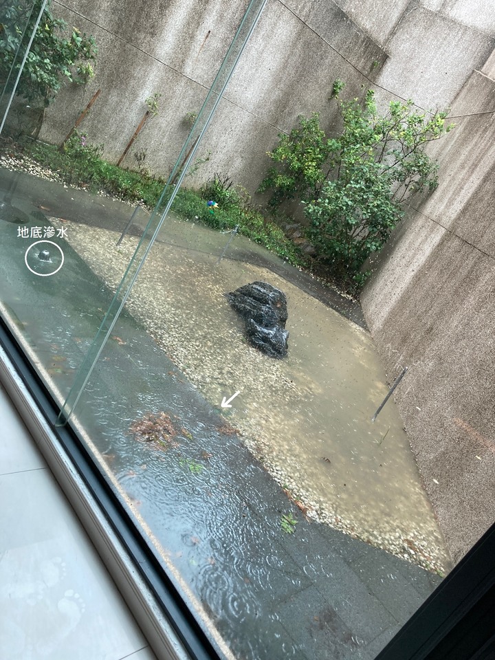 花圃積水一事請益