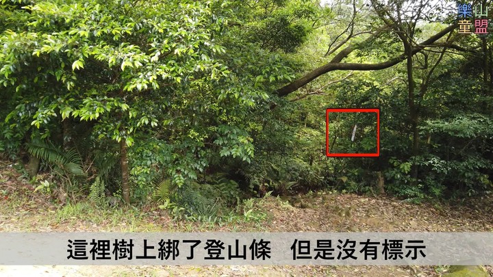 [樂山童盟] [新北汐止] 新山夢湖登山步道