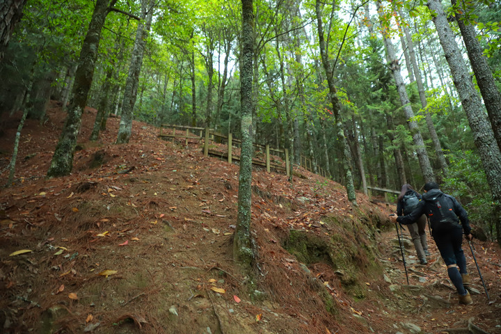 高山268|台中|桃山3325M(上集)|武陵四秀無限風光|和平區