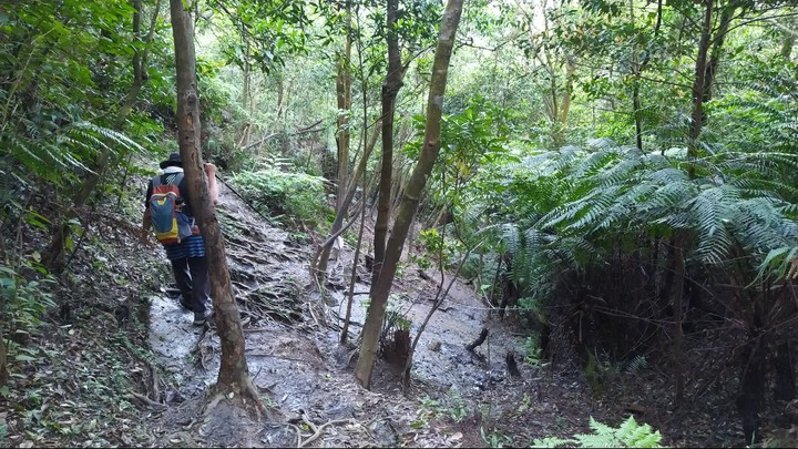 [樂山童盟] [新北汐止] 新山夢湖登山步道