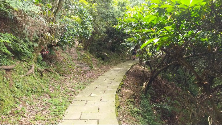 [樂山童盟] [新北瑞芳] 小粗坑古道-琉瑯觀光步道-苧仔潭古道