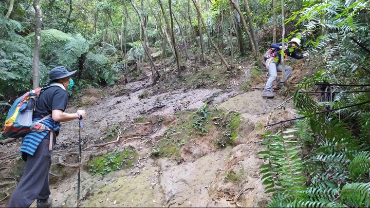 [樂山童盟] [新北汐止] 新山夢湖登山步道