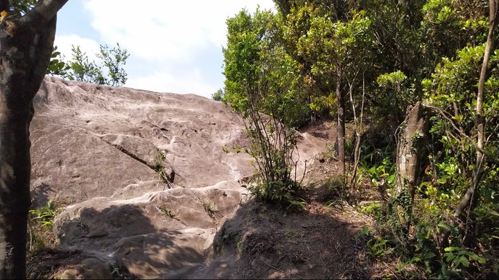 [樂山童盟] [新北汐止] 新山夢湖登山步道