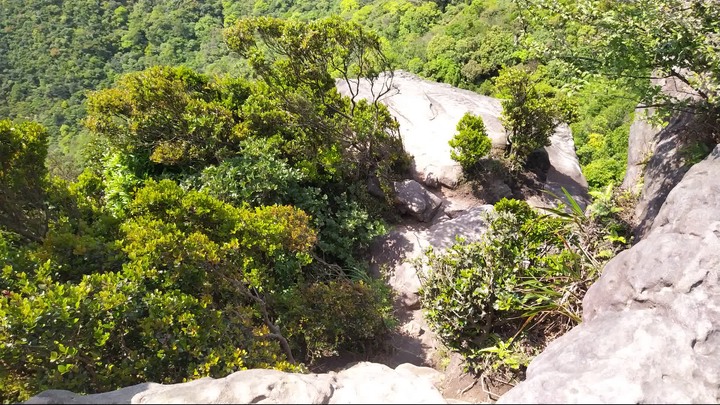 [樂山童盟] [新北汐止] 新山夢湖登山步道