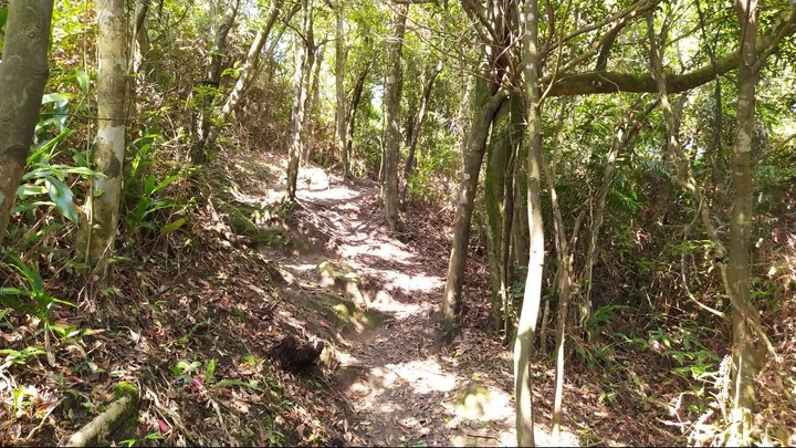[樂山童盟] [新北汐止] 新山夢湖登山步道