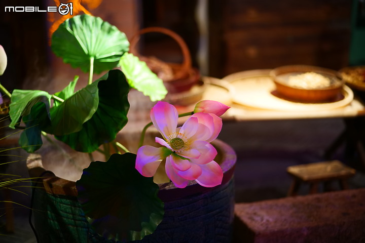 松下LUMIX S5+福倫達Voigtlander NOKTON Vintage Line Asph 75mm F1.5 VM