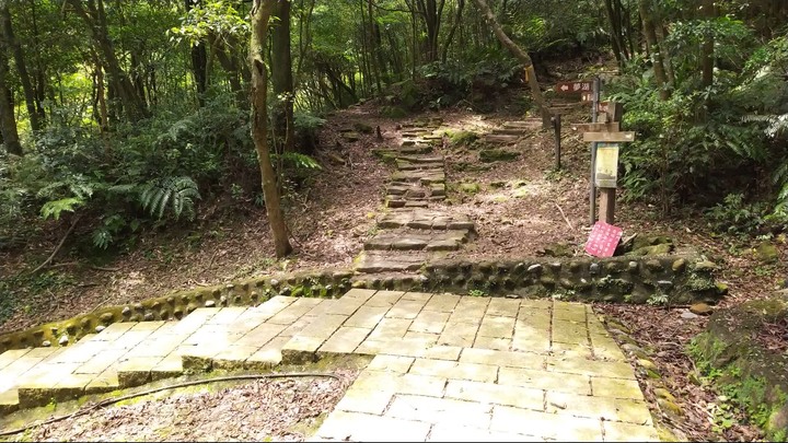 [樂山童盟] [新北汐止] 新山夢湖登山步道