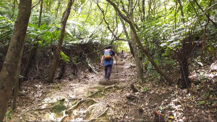 [樂山童盟] [新北汐止] 新山夢湖登山步道