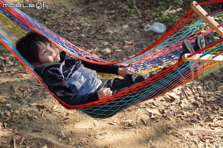 台中太平健行步道 征服43號小百岳三汀山望高寮 | 咬人狗坑生態景觀步道