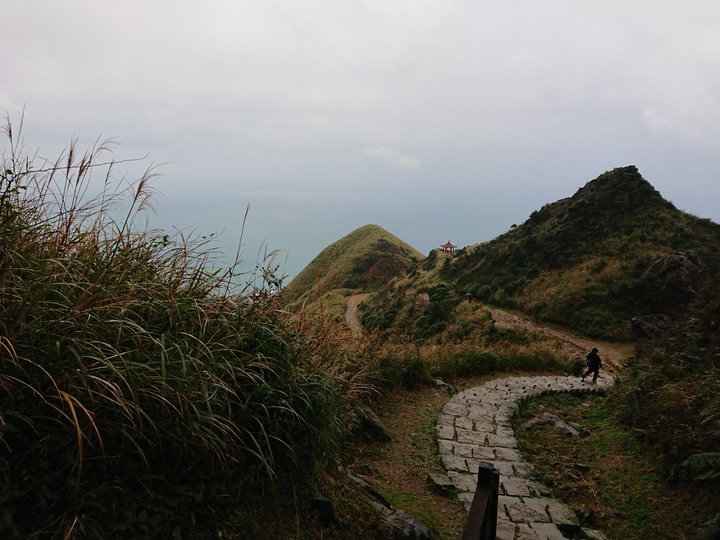 〔新北瑞芳〕無耳茶壺山步道.鼻頭角步道 山海天景全蒐集