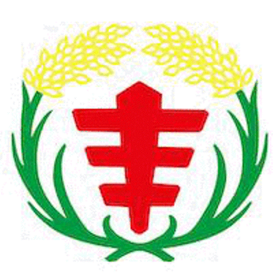 騎 遊 豐 原.發 現 葫 蘆 墩