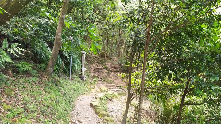 [樂山童盟] [新北汐止] 新山夢湖登山步道