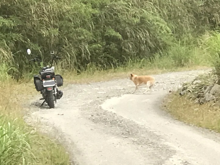 【末日騎士】 天生狂野 與獸同奔 生鬼止步