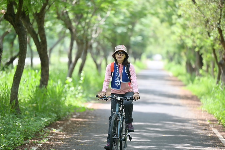 Z6屏東沿山公路最美的自行車道，拋落葉拍連續照非常有意思。