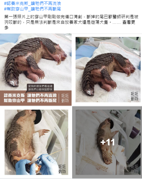 台灣民眾對於野生動物保育知識是不是很匱乏???
