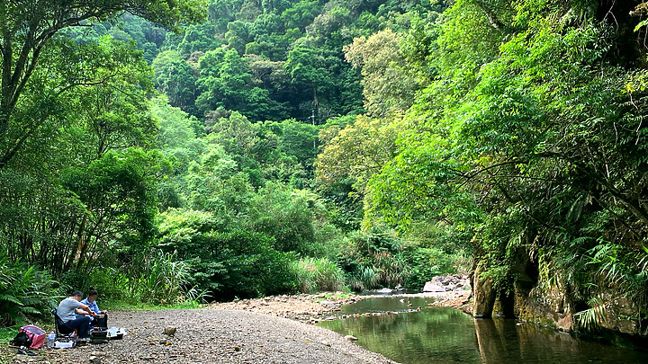 新北坪林|金瓜寮魚蕨步道|夏日親水野溪小徑