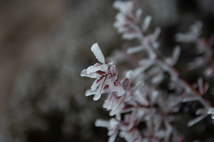 【雪攀玉山】美麗與險惡並存的世界|雪攀玉山前五峰
