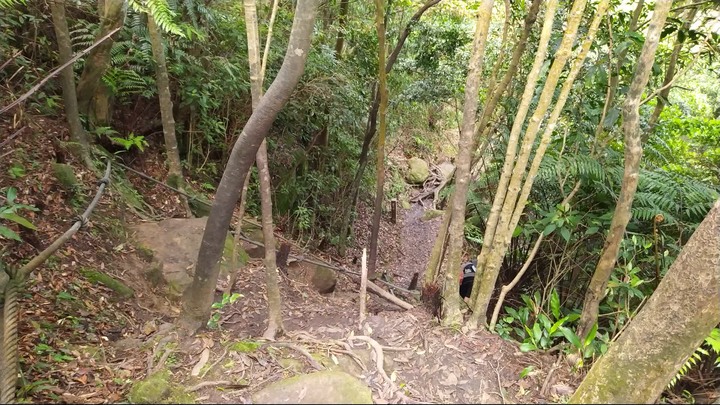 [樂山童盟] [新北汐止] 新山夢湖登山步道