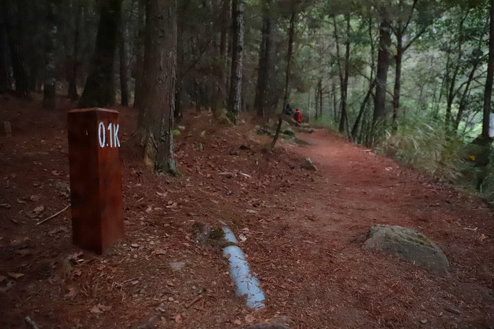 高山268｜台中｜桃山3325M(上集)｜武陵四秀無限風光｜和平區